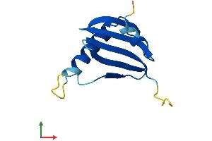 AlphaFold protein structure predicition of Mouse Recombinant Lamtor4 Protein, UniprotID Q8CF66