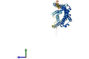 AlphaFold protein structure predicition of Human Recombinant GHSR Protein, UniprotID Q92847