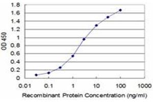 Detection limit for recombinant GST tagged BOLL is approximately 0. (BOLL anticorps  (AA 185-283))