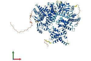 AlphaFold protein structure predicition of Mouse Recombinant Phkb Protein, UniprotID Q7TSH2