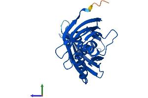 AlphaFold protein structure predicition of Human Recombinant LXN Protein, UniprotID Q9BS40