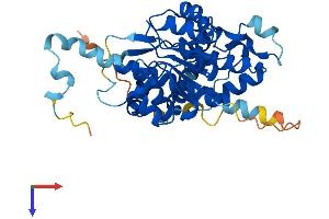 AlphaFold protein structure predicition of Human Recombinant NOXRED1 Protein, UniprotID Q6NXP6