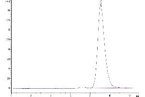 The purity of Mouse BST1 is greater than 95 % as determined by SEC-HPLC.