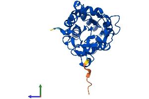 AlphaFold protein structure predicition of Mouse Recombinant Pudp Protein, UniprotID Q9D5U5