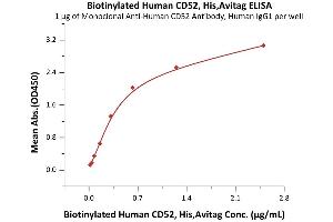 Immobilized Monoclonal A CD52 Antibody, Human IgG1 at 10 μg/mL (100 μL/well) can bind Biotinylated Human CD52, His,Avitag (ABIN6951030,ABIN6952271) with a linear range of 0.