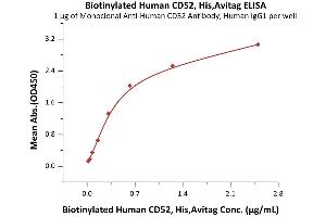 Immobilized Monoclonal A CD52 Antibody, Human IgG1 at 10 μg/mL (100 μL/well) can bind Biotinylated Human CD52, His,Avitag (ABIN6951030,ABIN6952271) with a linear range of 0. (CD52 Protein (CD52) (AA 25-36) (His tag,AVI tag,Biotin))