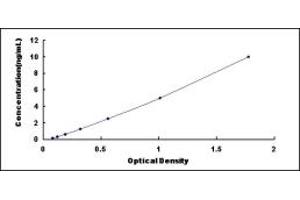 Typical standard curve (OCT4 Kit ELISA)