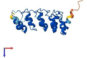 AlphaFold protein structure predicition of Human Recombinant CDKN2C Protein, UniprotID P42773