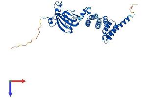 AlphaFold protein structure predicition of Mouse Recombinant Fkbp6 Protein, UniprotID Q91XW8