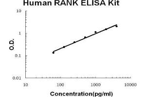 Human RANK PicoKine ELISA Kit standard curve (TNFRSF11A Kit ELISA)