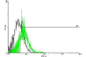 FACS analysis of negative control 293 cells (Black) and GPR151 expressing 293 cells (Green) using GPR151 purified MaxPab mouse polyclonal antibody. (GPR151 anticorps  (AA 1-419))