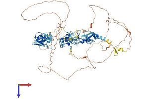 AlphaFold protein structure predicition of Mouse Recombinant Ablim3 Protein, UniprotID Q69ZX8