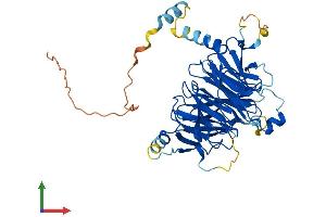 AlphaFold protein structure predicition of Mouse Recombinant Dcaf12 Protein, UniprotID Q8BGZ3
