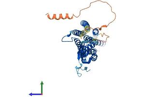 AlphaFold protein structure predicition of Human Recombinant SLC30A8 Protein, UniprotID Q8IWU4