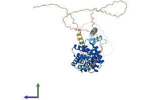 AlphaFold protein structure predicition of Mouse Recombinant Rmdn3 Protein, UniprotID Q3UJU9