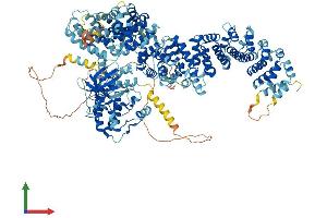 AlphaFold protein structure predicition of Human Recombinant STK36 Protein, UniprotID Q9NRP7