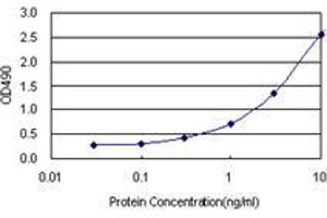 Sandwich ELISA detection sensitivity ranging from 0. (ZWINT (Humain) Matched Antibody Pair)