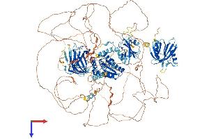AlphaFold protein structure predicition of Mouse Recombinant Tns3 Protein, UniprotID Q5SSZ5