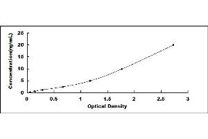Typical standard curve (ACTN1 Kit ELISA)