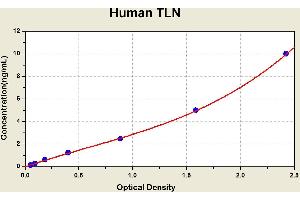 Diagramm of the ELISA kit to detect Human TLNwith the optical density on the x-axis and the concentration on the y-axis. (Talin Kit ELISA)