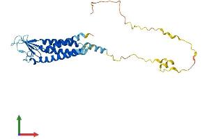 AlphaFold protein structure predicition of Human Recombinant CLDN23 Protein, UniprotID Q96B33