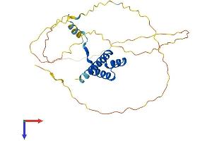 AlphaFold protein structure predicition of Human Recombinant HOXC9 Protein, UniprotID P31274