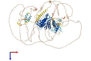 AlphaFold protein structure predicition of Human Recombinant EPB41L3 Protein, UniprotID Q9Y2J2