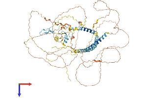 AlphaFold protein structure predicition of Human Recombinant RNF169 Protein, UniprotID Q8NCN4