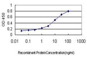 Detection limit for recombinant GST tagged DAAM1 is approximately 0.