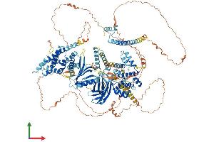 AlphaFold protein structure predicition of Mouse Recombinant Bcr Protein, UniprotID Q6PAJ1