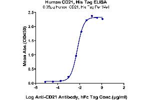 Immobilized Human CD21, His Tag at 0. (CD21 Protein (AA 21-971) (His tag))