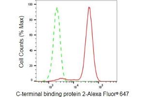 Flow cytometric analysis of C-terminal binding protein 2 expression in HeLa cells using C-terminal binding protein 2 antibody (ABIN7797816), 1:2,000). (Recombinant CTBP2 anticorps)