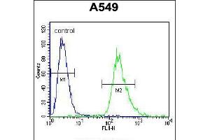 Flow cytometric analysis of A549 cells (right histogram) compared to a negative control cell (left histogram). (PRR19 anticorps  (AA 208-236))