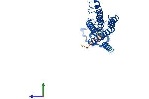 AlphaFold protein structure predicition of Mouse Recombinant Plpp5 Protein, UniprotID Q3UMZ3