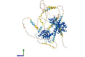 AlphaFold protein structure predicition of Mouse Recombinant Eps8 Protein, UniprotID Q08509