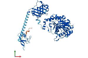 AlphaFold protein structure predicition of Mouse Recombinant Nars1 Protein, UniprotID Q8BP47