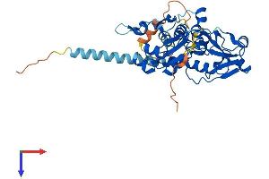 AlphaFold protein structure predicition of Human Recombinant PCYT2 Protein, UniprotID Q99447