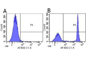 Flow-cytometry using the anti-CD4 research biosimilar antibody Clenoliximab (CE9. (Recombinant CD4 (Clenoliximab Biosimilar) anticorps)