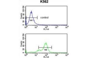 Flow Cytometry (FACS) image for anti-Small Nuclear Ribonucleoprotein Polypeptide C (SNRPC) antibody (ABIN3001664)