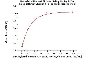 Immobilized Human Glypican 3, Fc Tag, low endotoxin (ABIN4949101,ABIN4949102) at 5 μg/mL (100 μL/well) can bind Biotinylated Human FGF basic, Avitag,His Tag (ABIN6992425) with a linear range of 0. (FGF2 Protein (AA 143-288) (AVI tag,His tag,Biotin))