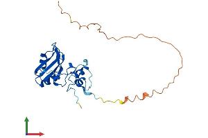 AlphaFold protein structure predicition of Human Recombinant SNRNP35 Protein, UniprotID Q16560
