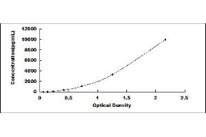 Typical standard curve (P4HA1 Kit ELISA)