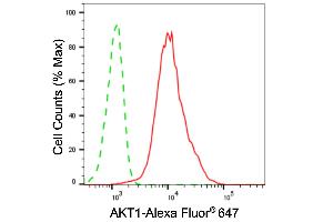 Flow cytometric analysis of AKT1 expression in C2C12 cells using AKT1 antibody (ABIN7800777), 1:2,000).