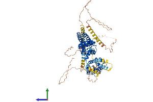 AlphaFold protein structure predicition of Mouse Recombinant Kcna4 Protein, UniprotID Q61423