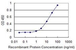 anti-Caveolin 3 (CAV3) (AA 1-83) antibody