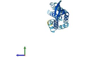 AlphaFold protein structure predicition of Mouse Recombinant Commd2 Protein, UniprotID Q8BXC6