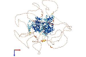 AlphaFold protein structure predicition of Human Recombinant BLM Protein, UniprotID P54132