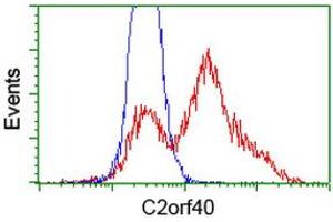 HEK293T cells transfected with either RC206239 overexpress plasmid (Red) or empty vector control plasmid (Blue) were immunostained by anti-C2orf40 antibody (ABIN2454455), and then analyzed by flow cytometry. (C2orf40 anticorps)
