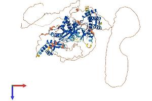AlphaFold protein structure predicition of Mouse Recombinant Ttll3 Protein, UniprotID A4Q9E5
