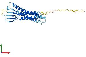 AlphaFold protein structure predicition of Human Recombinant CLDN4 Protein, UniprotID O14493